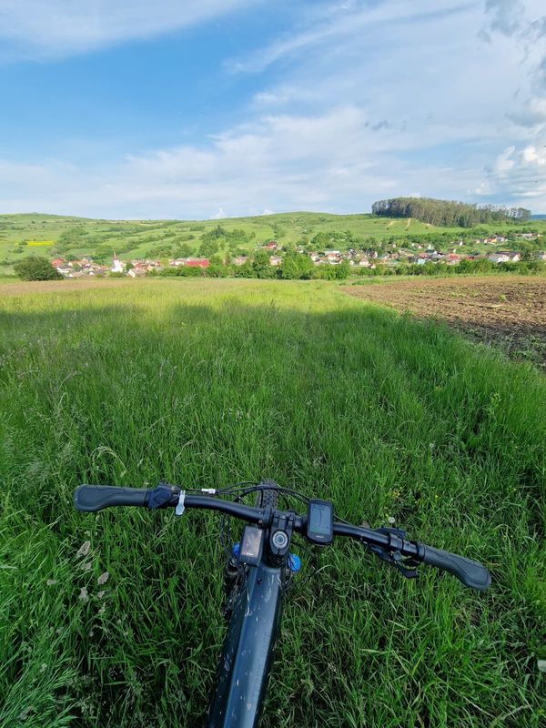 Apold  - Brădeni