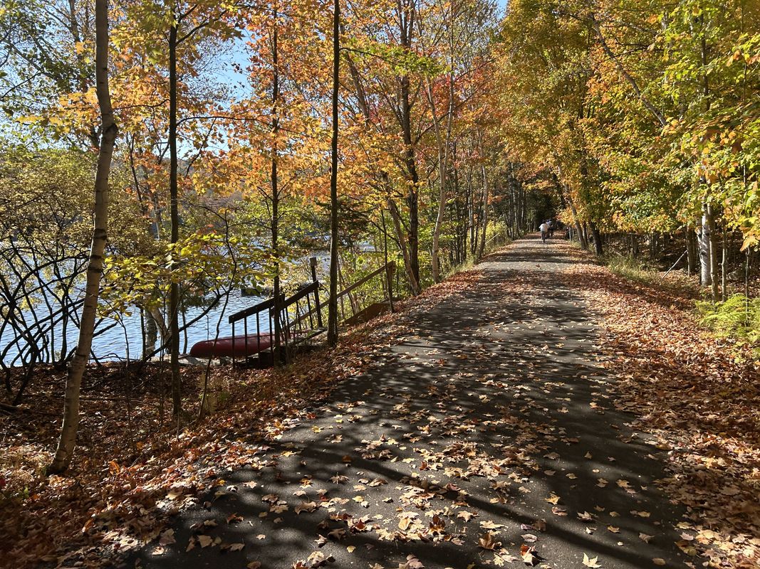 Rue Émond O, Mont-Tremblant à Saint-Faustin À Mont-Tremblant, Mont-Tremblant