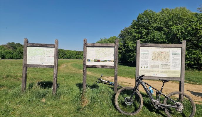 Photo 1 of the Bikemap route "Apold - Sighișoara"