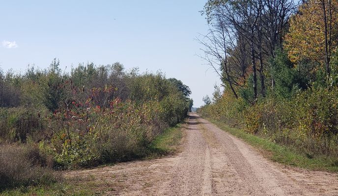 Photo 2 de l’itinéraire Bikemap « 1st Street South to 1st Street South »