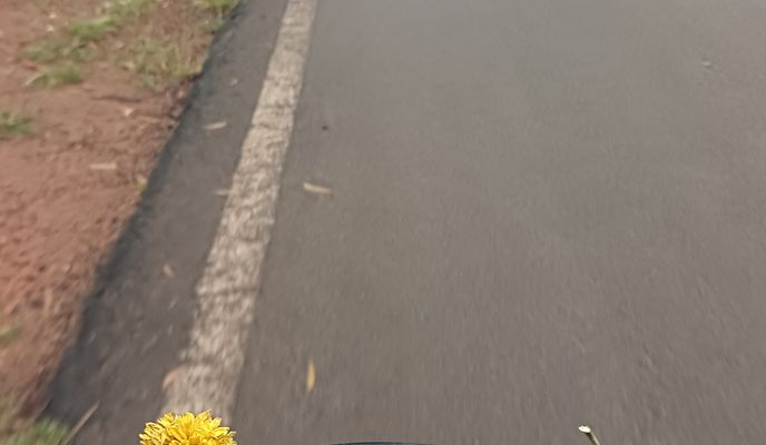 Foto 1 der Bikemap-Route "State Highway to Unnamed Road"