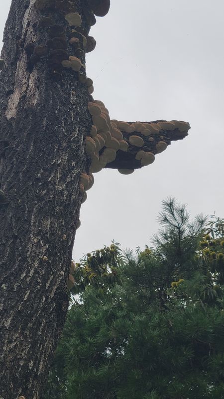 신창동 1108-2 ~ 대한민국