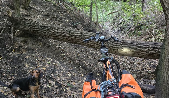 Foto 1 del percorso Bikemap "Hürther Weg nach Adelheidisstraße"