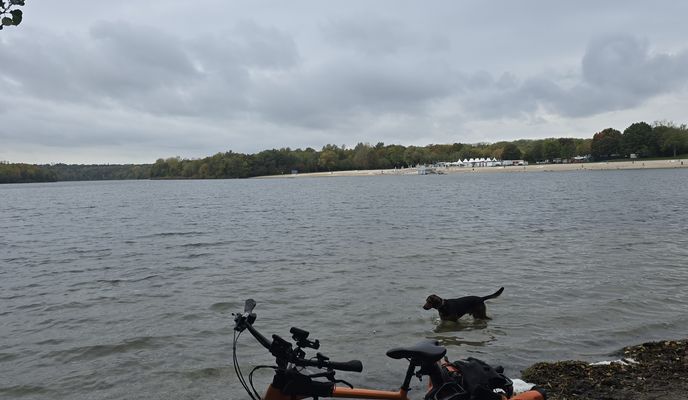 Foto 2 del percorso Bikemap "Hürther Weg nach Adelheidisstraße"