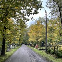Мошков переулок, Санкт-Петербург до улица Передовиков, Санкт-Петербург