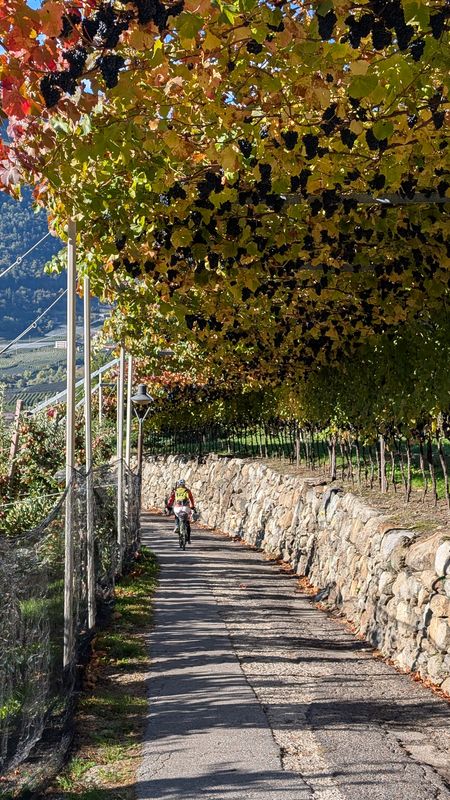 Via Aslago nach Via Aslago