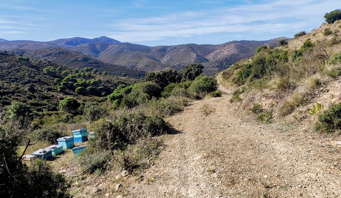 Foto 1 de la ruta de Bikemap "17 Roses Fràgam Peni Mas-Llobatera Perafita Port-de-la-Selva La-Selva-de-Mar Mas-Estela Can Berta"