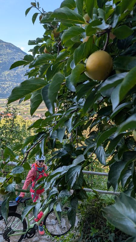 Via Aslago nach Via Aslago