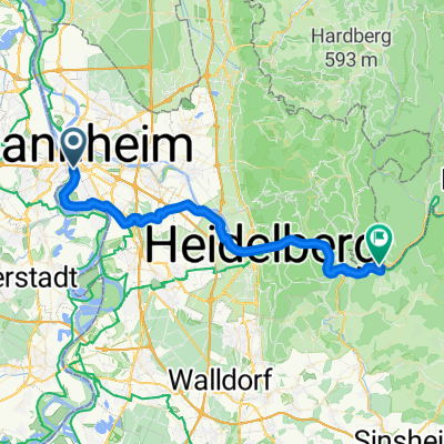 3 Mannheim Rheinau Dilsberg
