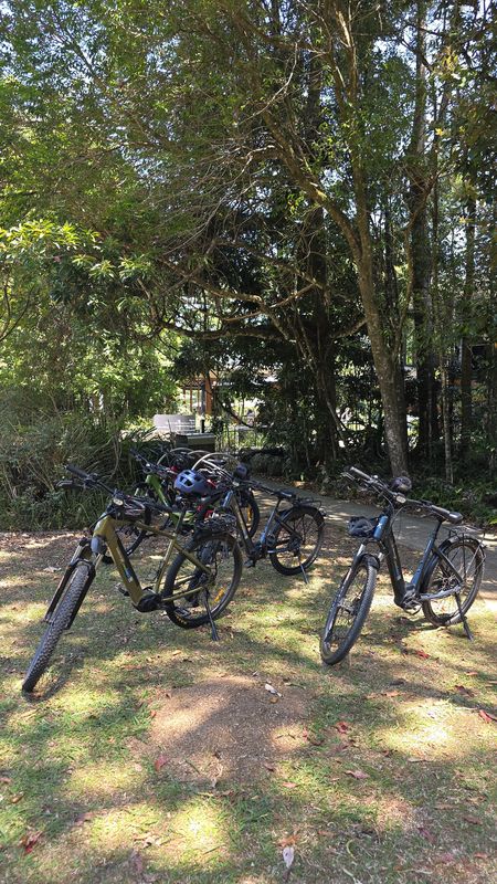 Coral Street to Coral Street