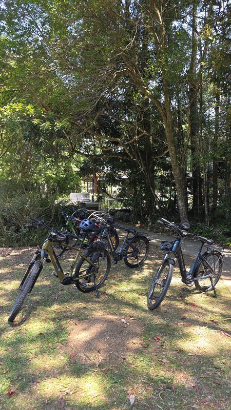 Coral Street to Coral Street