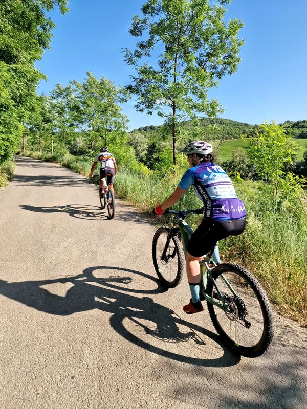 Criș - Stejăreni - Hula Crișului - Criș