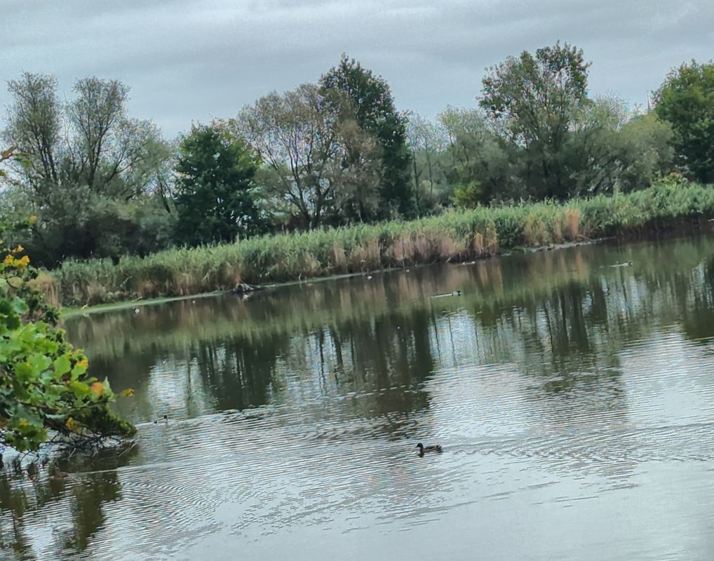 Lange Straße nach Lange Straße