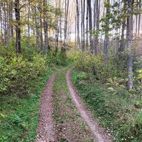 Photo 8 of the Bikemap route "От Рижский проспект до улица Михайловская"