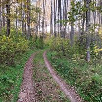 Photo 7 of the Bikemap route "От Рижский проспект до улица Михайловская"