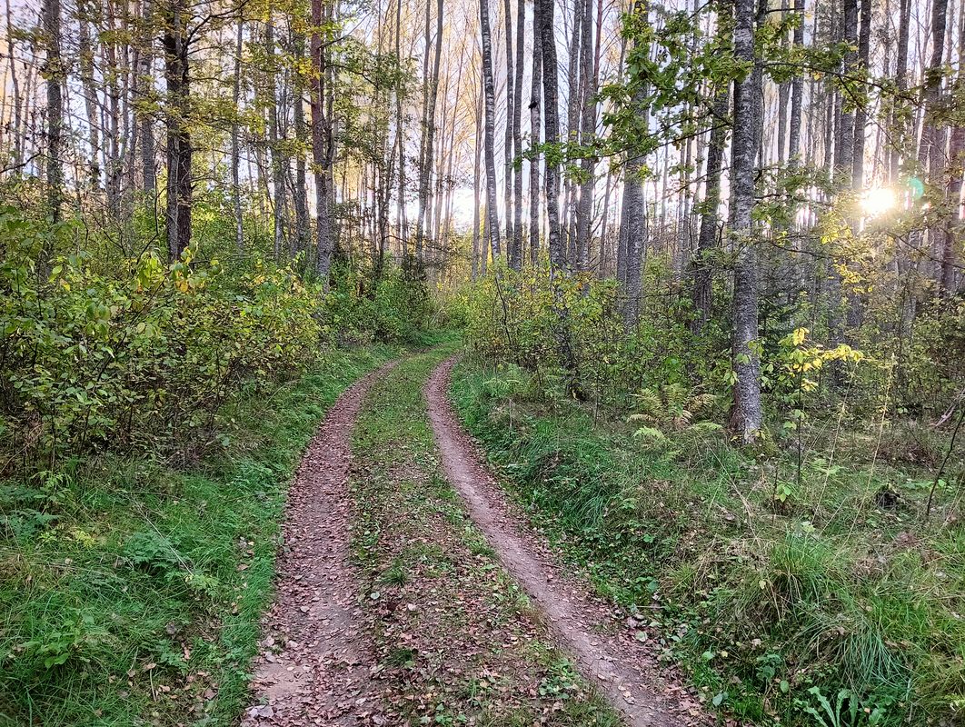 От Рижский проспект до улица Михайловская