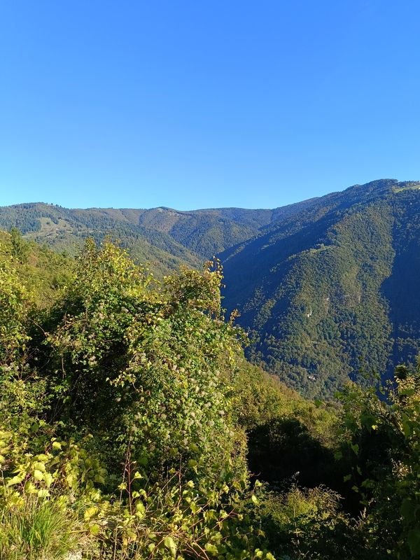 Da Via Papa Luciani a Via Papa Luciani