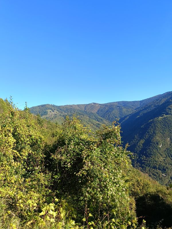 Da Via Papa Luciani a Via Papa Luciani