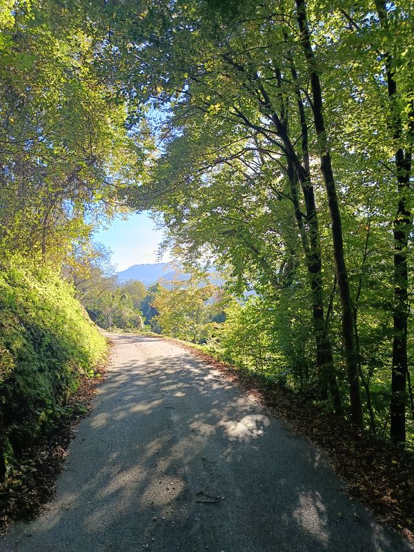 Da Via Papa Luciani a Via Papa Luciani