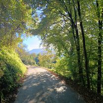 Da Via Papa Luciani a Via Papa Luciani