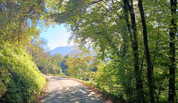 Photo 1 of the Bikemap route "Da Via Papa Luciani a Via Papa Luciani"