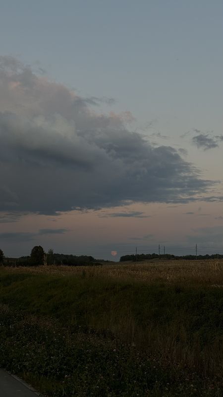 Богатая улица, Гродно до Колхозная улица, Гродно
