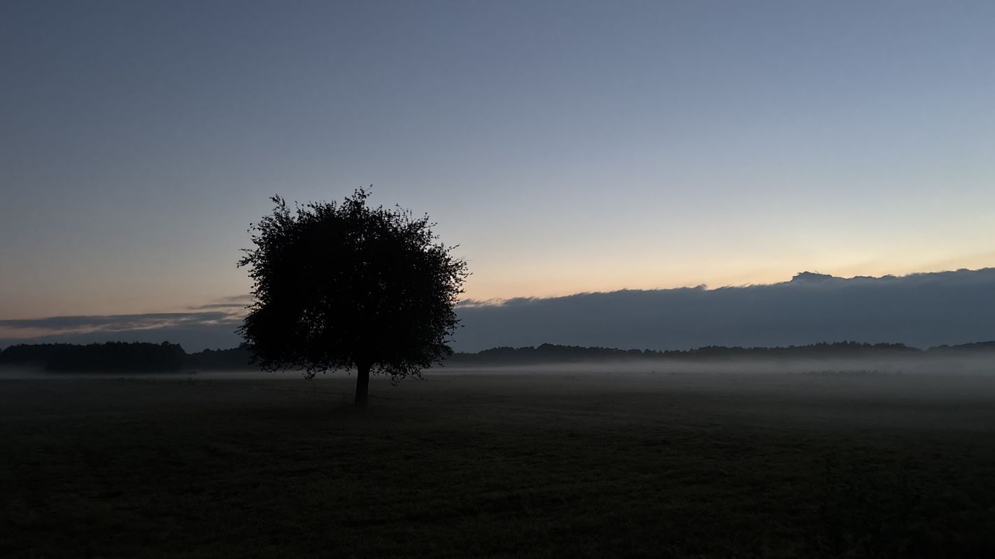 Króla J Sobieskiego, Puszcza Mariańska do Króla J Sobieskiego, Puszcza Mariańska