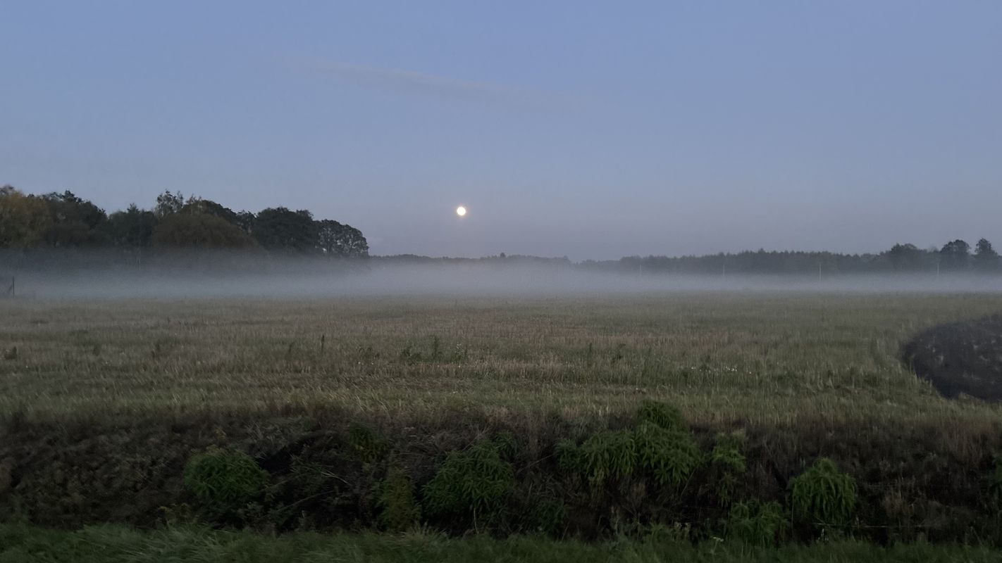 Króla J Sobieskiego, Puszcza Mariańska do Króla J Sobieskiego, Puszcza Mariańska