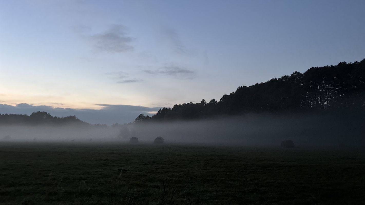 Króla J Sobieskiego, Puszcza Mariańska do Króla J Sobieskiego, Puszcza Mariańska