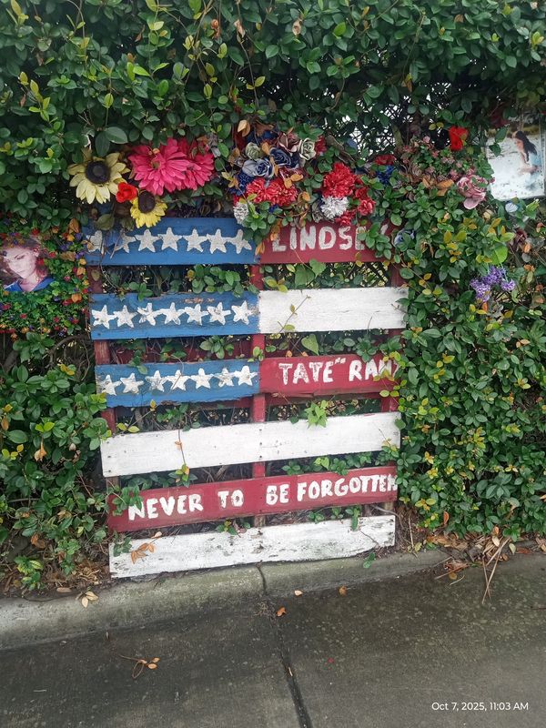 Ashe Dorchester Ashe