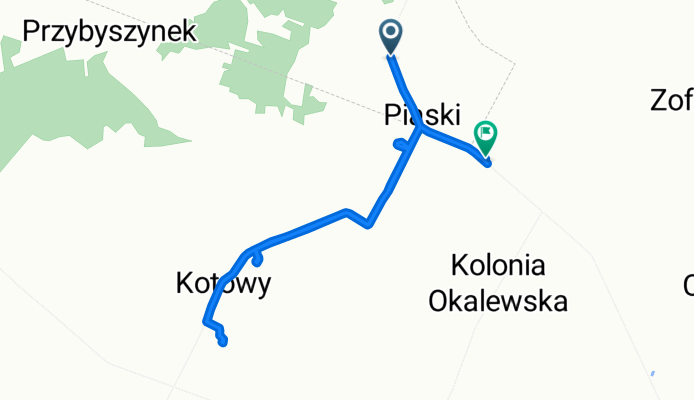 kotowy