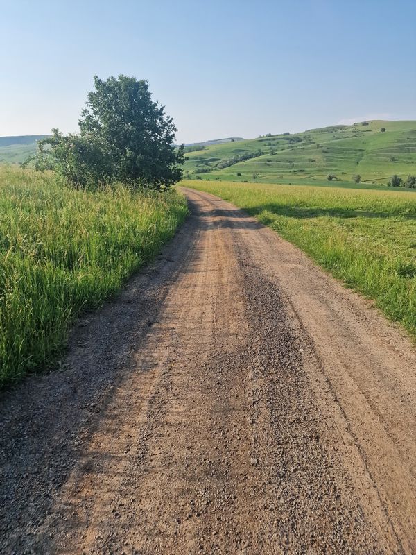 Rupea - Paloș