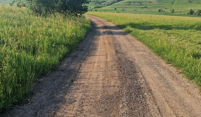 Photo 1 of the Bikemap route "Rupea - Paloș"