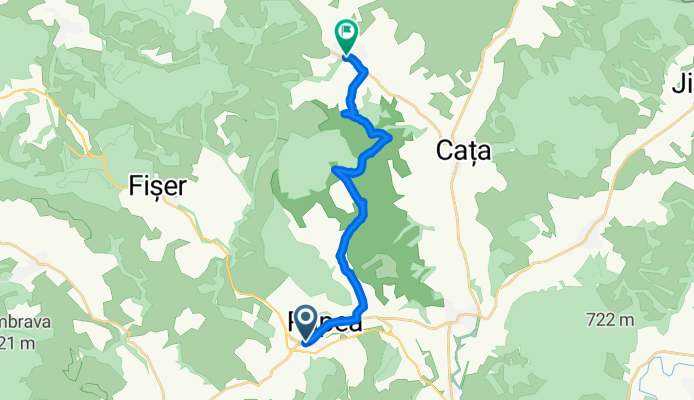 Rupea - Paloș