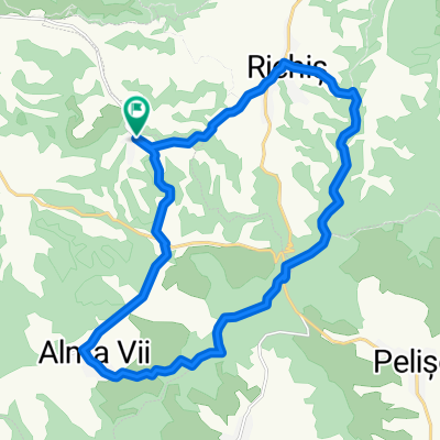 Nemșa_Alma_Vii_Richiș_Nemșa