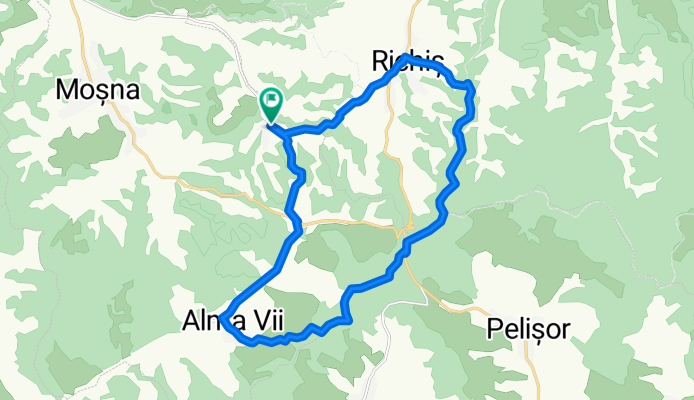 Nemșa_Alma_Vii_Richiș_Nemșa