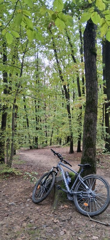 Strada Făgetului to Strada Edgar Quinet