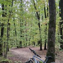 Strada Făgetului to Strada Edgar Quinet