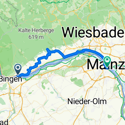 Rüdesheim - Mainz 42 km DEU 2025