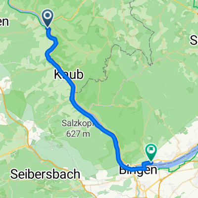 Sankt Goar-Bacharach-Bingen-Rüdesheim 31 km DEU 2025