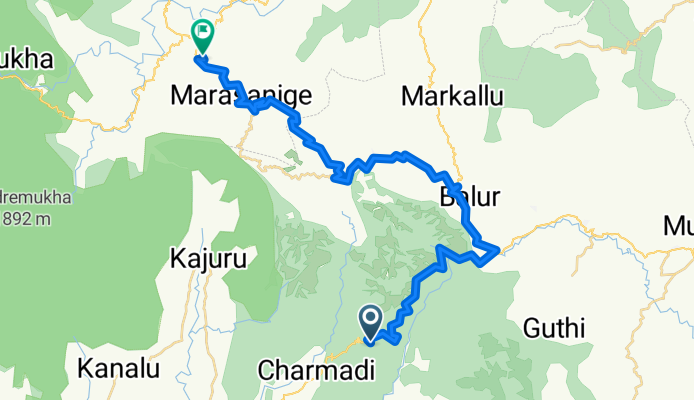 Stage 4