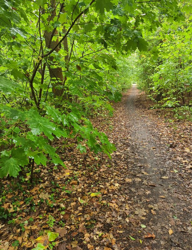 Lange Straße nach Lange Straße