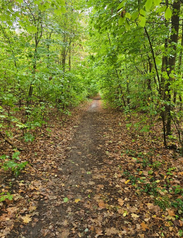 Lange Straße nach Lange Straße