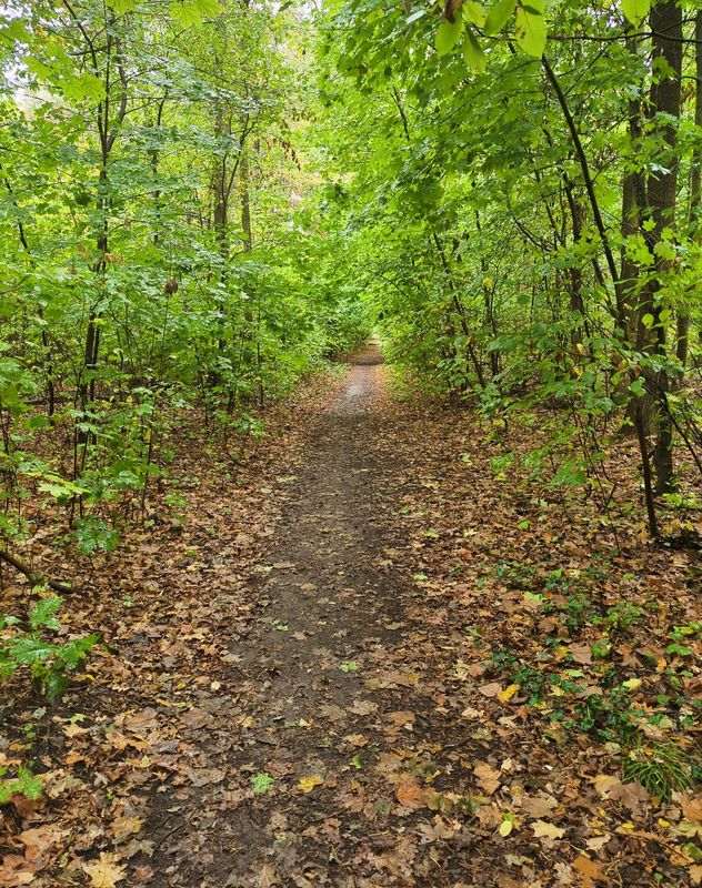 Lange Straße nach Lange Straße