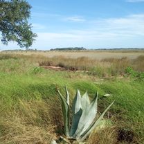 Foto 7 der Bikemap-Route "Folly Road to State Road S-10-432"