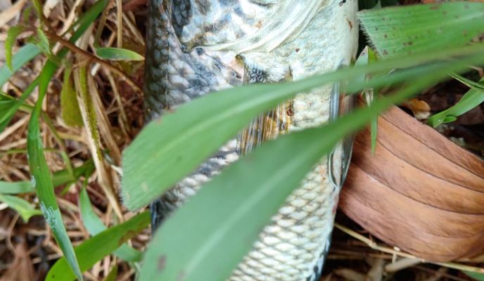 Foto 1 de la ruta de Bikemap "tablillas"