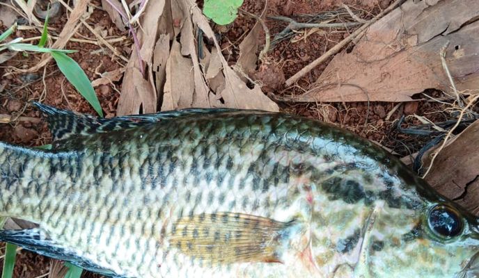 Foto 2 de la ruta de Bikemap "tablillas"