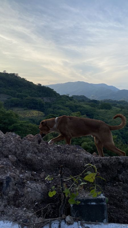 Carretera Santa Ana - Metapán, Santa Ana to Calle E, Santa Ana