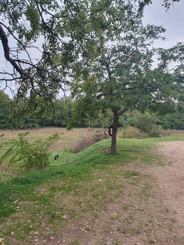 Útvonal innen: Tilos puszta