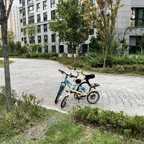 도안동, 대전광역시에서 도안동로, 대전광역시까지